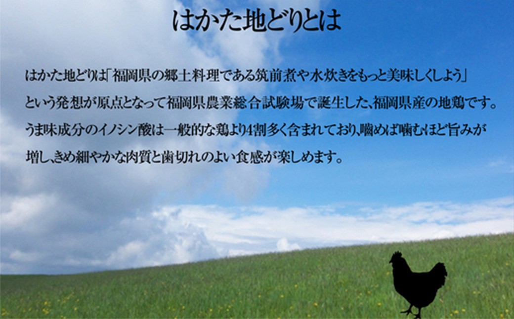 手焼き はかた地どり 炭火焼 ローストチキン 約2kg （8〜12パック） 地鶏 炭火焼き チキン 鶏肉 とり肉 お肉 肉 むね肉 九州 福岡県 うきは市 冷凍