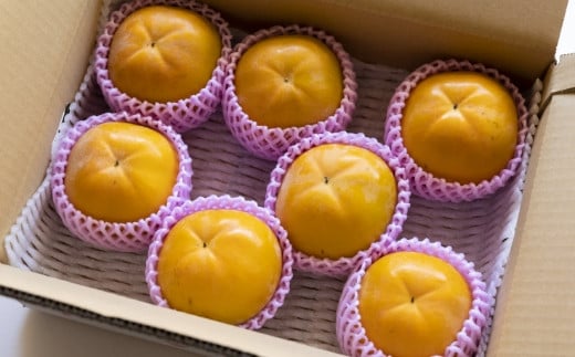 ãå
è¡äºçŽã äžæµŠèŸ²å å€ªç§æ¿ 7çãã9ç ïŒ3Lãã4LïŒ ã2026幎10æäžæ¬ãã10æäžæ¬ åºè·äºå®ã æ¿ ãã ã«ã å€ªç§ ãããã
ã å®å
šçæ¿ æç© ãã ãã® ãã«ãŒã æå® ãžã¥ãŒã·ãŒ ãåãå¯ã çŠå²¡ç ããã¯åž