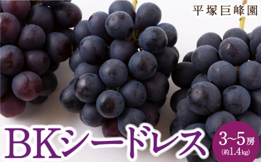 【先行予約】平塚巨峰園 BKシードレス 3房から5房 (約1.4kg) 2025年9月中旬から9月下旬 出荷予定