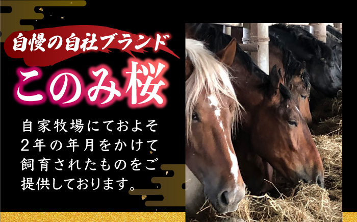 【6回定期便】鮮度抜群！冷蔵お届け 特上含む 馬刺し 4種 食べ比べ このみ桜プレミアム4点セット 計400g (赤身150g・特上霜降り100g・ふたえご刺し100g・たてがみ刺し50g)【馬庵このみ】赤身 霜降り ふたえご刺し たてがみ刺し