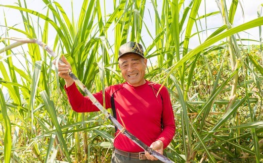 アグリファームさいとう 手作り黒蜜と自家栽培焙煎くろまめ茶 (200g)