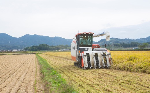 野上耕作舎 野上米ヒノヒカリ 白米10kg　2024年10月中旬より順次出荷予定