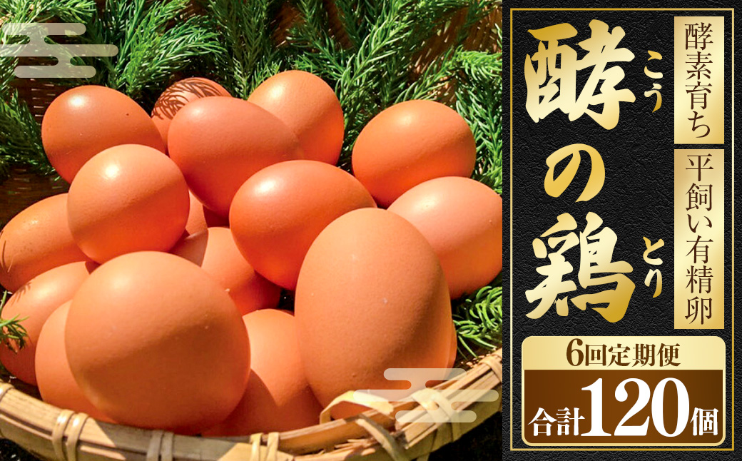 【6ヶ月定期便】iTo farm 酵の鶏 20個×6ヶ月お届け  鶏の卵 たまご 卵 玉子 タマゴ 鶏卵 オムレツ 卵かけご飯 朝食 料理 たまご焼き 福岡県 うきは市