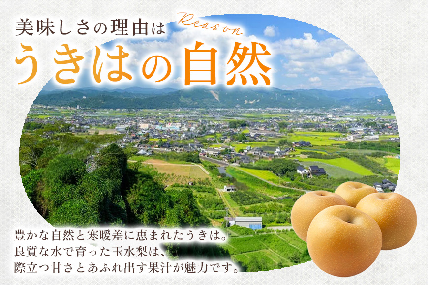 【ふるさと納税】【先行予約】玉水梨 梨 5kg 16玉～18玉 梨 なし ナシ 完熟 福岡県産 うきは市 大容量 フルーツ 果物 くだもの 甘い ジューシー 旬 秋の味覚 お中元 ギフト 贈り物 家庭用 贈答用 送料無料 常温 国産 JA福岡くるめ にじの耳納の里【2026年7月中旬ごろ発送予定】
