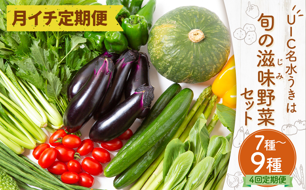 【月イチ定期便】UIC名水うきは 旬の滋味（じみ）野菜セット (ひと月1箱×4か月=計4回)