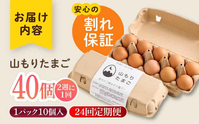 【月2回 12ヶ月定期便】平飼い 山もりたまご 40個 安心安全 おいしさに感動 たまご 卵 高級卵 平飼い 安心安全 飼料にこだわり 成長剤 ホルモン剤 添加物不使用 定期便