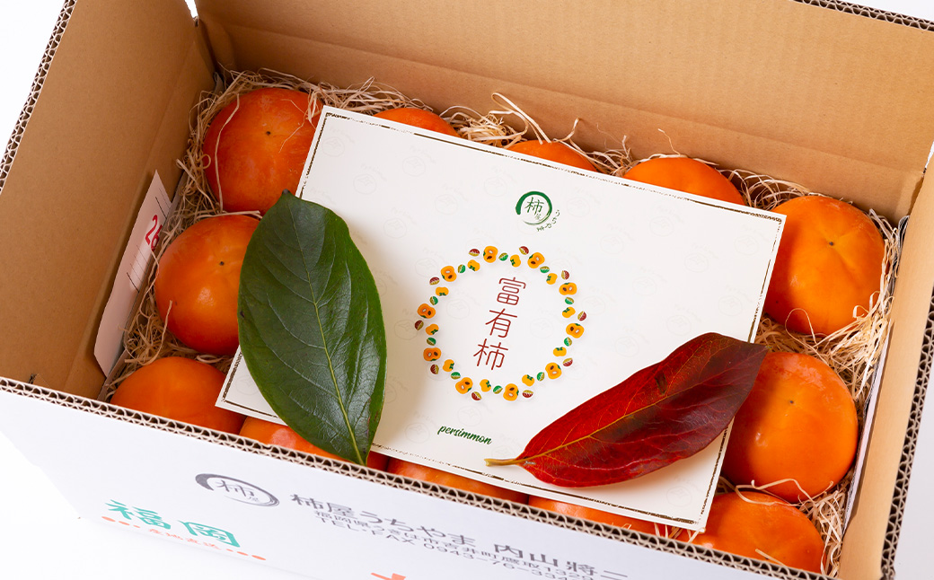 【先行予約】柿屋うちやま 富有柿 9玉から12玉 2025年11月中旬から12月上旬 出荷予定