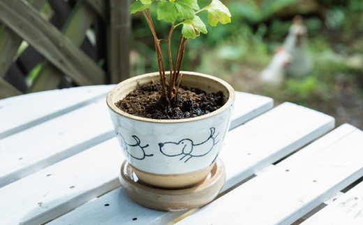 陶・染 きとゆ工房 絵付けの植木鉢(鳥)