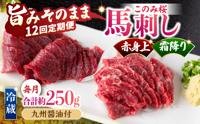 【12回定期便】鮮度抜群！冷蔵お届け 上馬刺し 2種 食べ比べ 赤身(150g) 霜降り(100g) 食べ比べ 計250g ブランド馬肉「このみ桜」馬刺し用醤油付き【馬庵このみ】馬刺し 馬肉 霜降り 赤身ブロック 国産 九州産 冷蔵