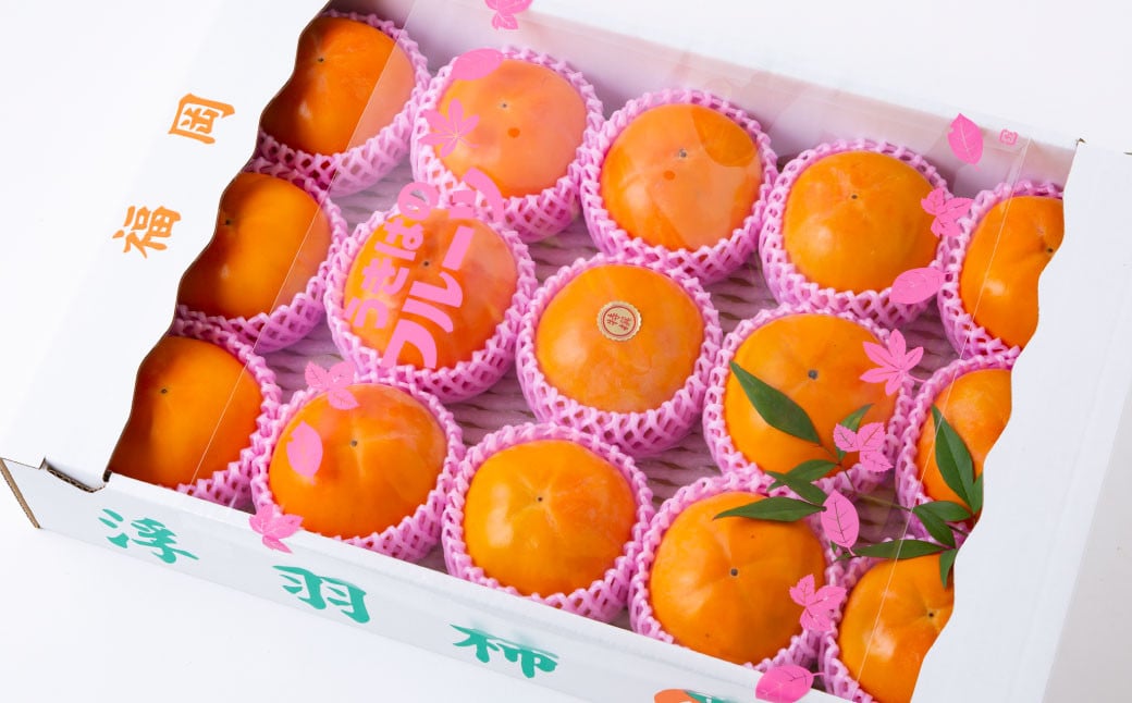 ãå
è¡äºçŽãéã®é§
ãã㯠å·èµå¯ææ¿ 8çãã9ç 2025幎12æäžæ¬ãã2026幎1æäžæ¬ åºè·äºå®