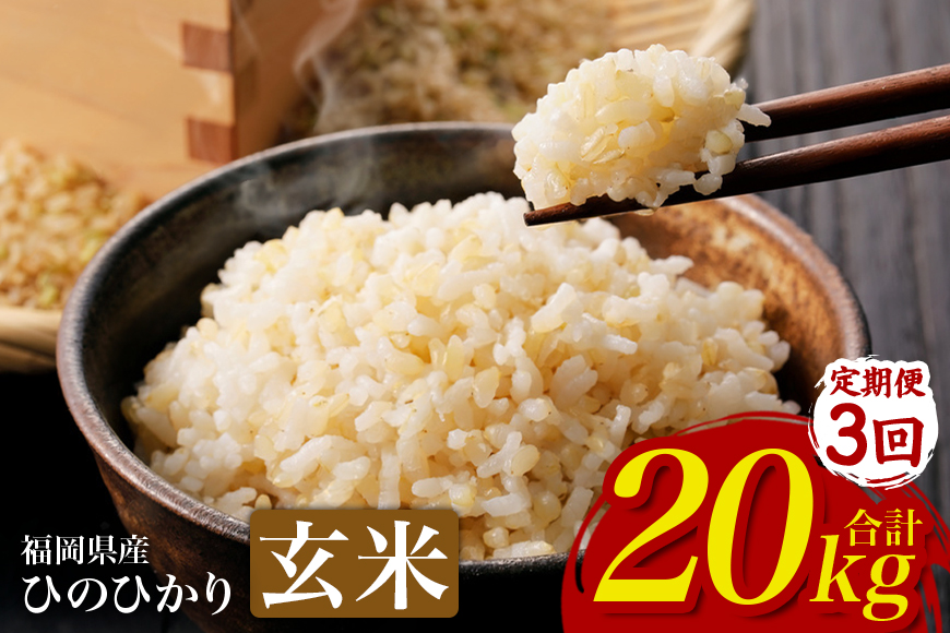 ã3åå®æäŸ¿ãããµãããšçŽçšãã²ã®ã²ãã ç±³ ãç±³ çç±³ 20kg 20ãã çŠå²¡çç£ ããã¯åž åœç£ 粟米 ã飯 ãã¯ã ãã«ãã ãåŒåœ äººæ° ãããã å®¶åºçš éæç¡æ æ°ç±³ ã¹ãã㯠å³éž 蟲家çŽé 倧容éãJAçŠå²¡ããã ã«ãã®è³çŽã®éã