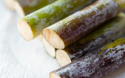 アグリファームさいとう 手作り黒蜜と黒砂糖（粉タイプ） セット さとうきび 黒蜜 黒砂糖 うきは市