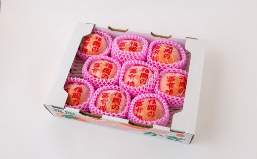 日永園 冷蔵富有柿 7玉から8玉（2Lから3Lサイズ） 【2025年12月下旬から2026年2月下旬出荷予定】 柿 フルーツ 果物