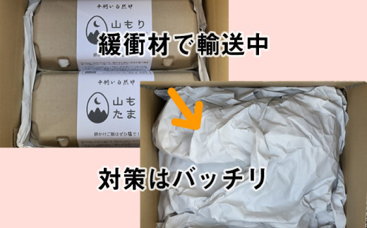 【月2回定期便】山もりたまご 40個 月2回 (2週に1回) 12ヶ月お届け