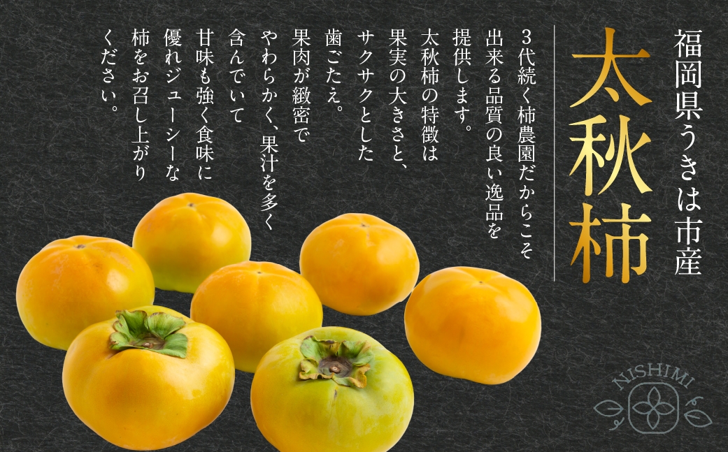 特選太秋柿 3玉  （ 約1kg ）  贈答用 ギフト 太秋柿 柿 フルーツ 果物 ギフト 完熟 【 2026年11月上旬～12月上旬発送予定 】