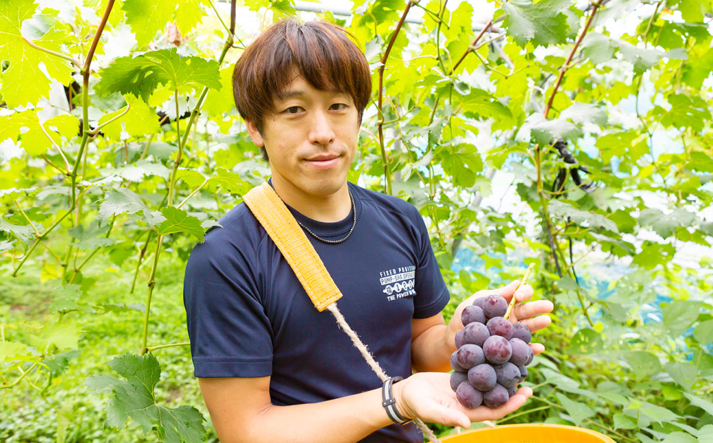 中村柿ぶどう園 ナチュラルドライフルーツ (シャインマスカット) 約40g×3個 
