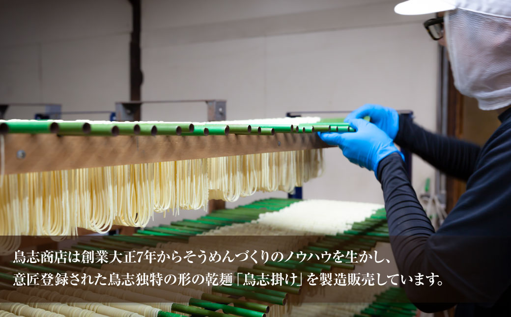 鳥志商店 麺匠 博多中華そばかぼす 12食　冷やし中華