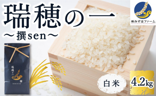 みずほファーム「瑞穂の一 “撰sen”」白米4.2kg 2024年11月より順次出荷予定