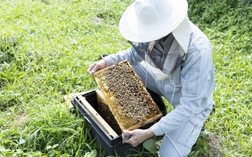 樋口養蜂場　国産　百花はちみつ　１kg