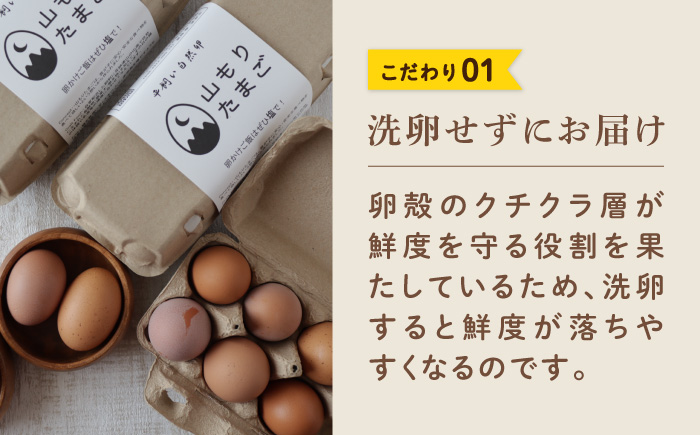 【月2回 12ヶ月定期便】平飼い 山もりたまご 40個 安心安全 おいしさに感動 たまご 卵 高級卵 平飼い 安心安全 飼料にこだわり 成長剤 ホルモン剤 添加物不使用 定期便