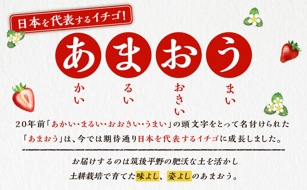 Green's 「いちごの王様」目指す福岡県産あまおう 250g×4パック 4月分 あまおう いちご イチゴ 苺 フルーツ 果物 冷蔵 送料無料 福岡県 うきは市 【2026年4月上旬〜4月中旬より順次発送予定】