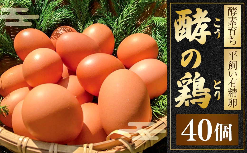 iTo farm 酵の鶏 40個