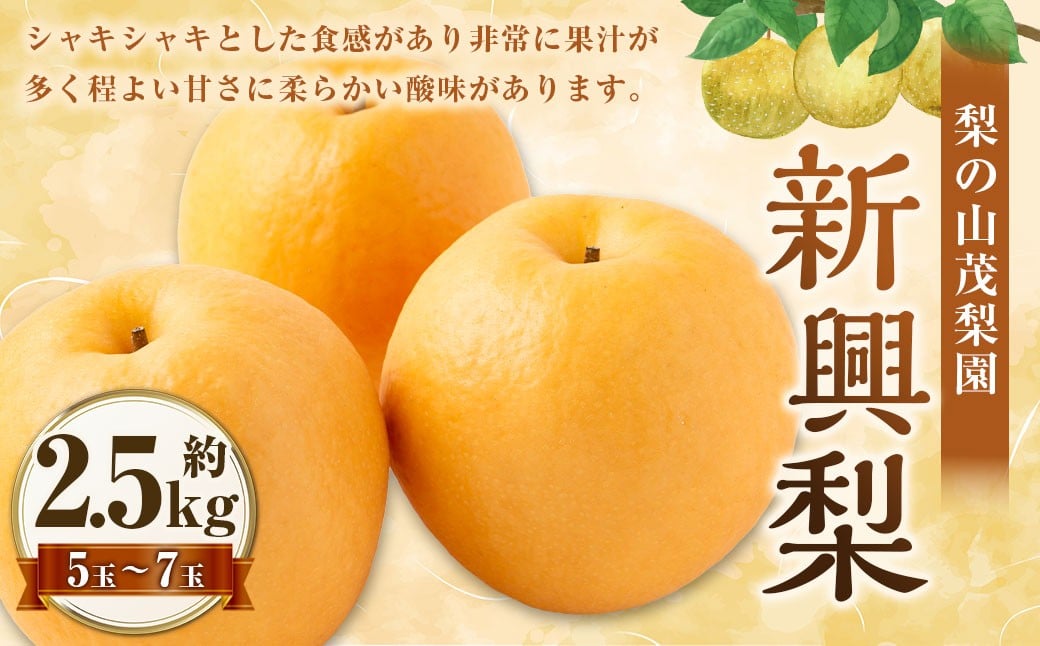 【先行予約】 梨の山茂梨園 新興梨 5玉から7玉（約2.5kg）【2026年10月上旬～11月上旬発送予定】 梨 なし ナシ 果物 くだもの フルーツ 果実 果汁 5玉 7玉