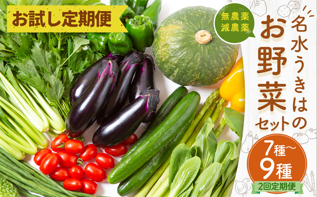 【お試し定期便】UIC 名水うきはの無農薬減農薬お野菜セット (ひと月1箱×2か月=計2回)
