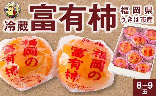 道の駅うきは 冷蔵富有柿 8玉から9玉 2024年12月中旬から2025年1月下旬 出荷予定