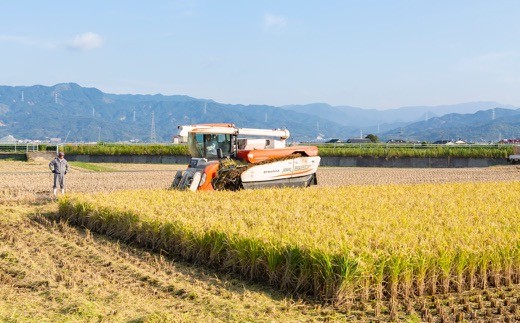 日永園 ヒノヒカリ 玄米10kg 2024年10月上旬より順次出荷予定