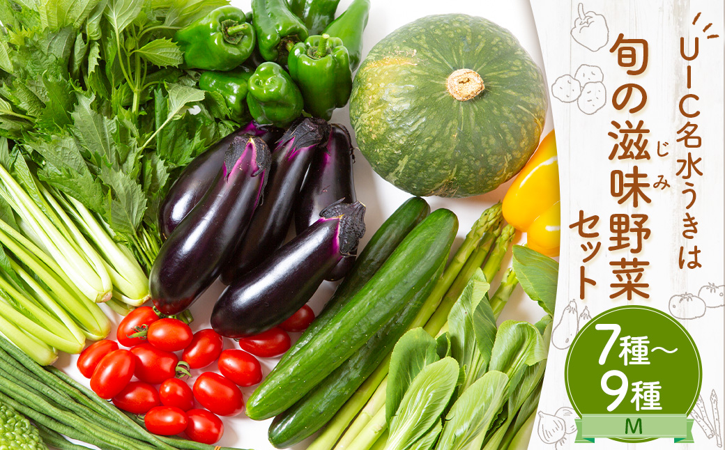 UIC名水うきは 旬の滋味（じみ）野菜セットM