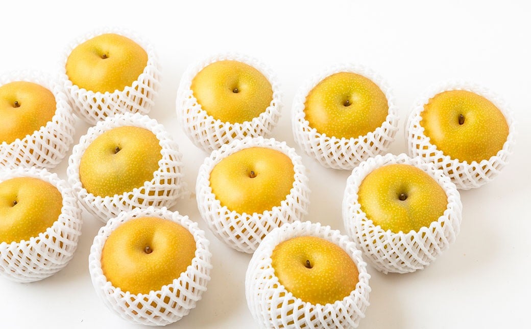 ãå
è¡äºçŽã 梚ã®å±±è梚å ããã¥ã梚 5çãã7çïŒçŽ2.5kgïŒã2026幎9æäžæ¬ïœäžæ¬çºéäºå®ã 梚 ãªã ãã· æç© ãã ãã® ãã«ãŒã æå® ææ± 5ç 7ç ããã¥ã