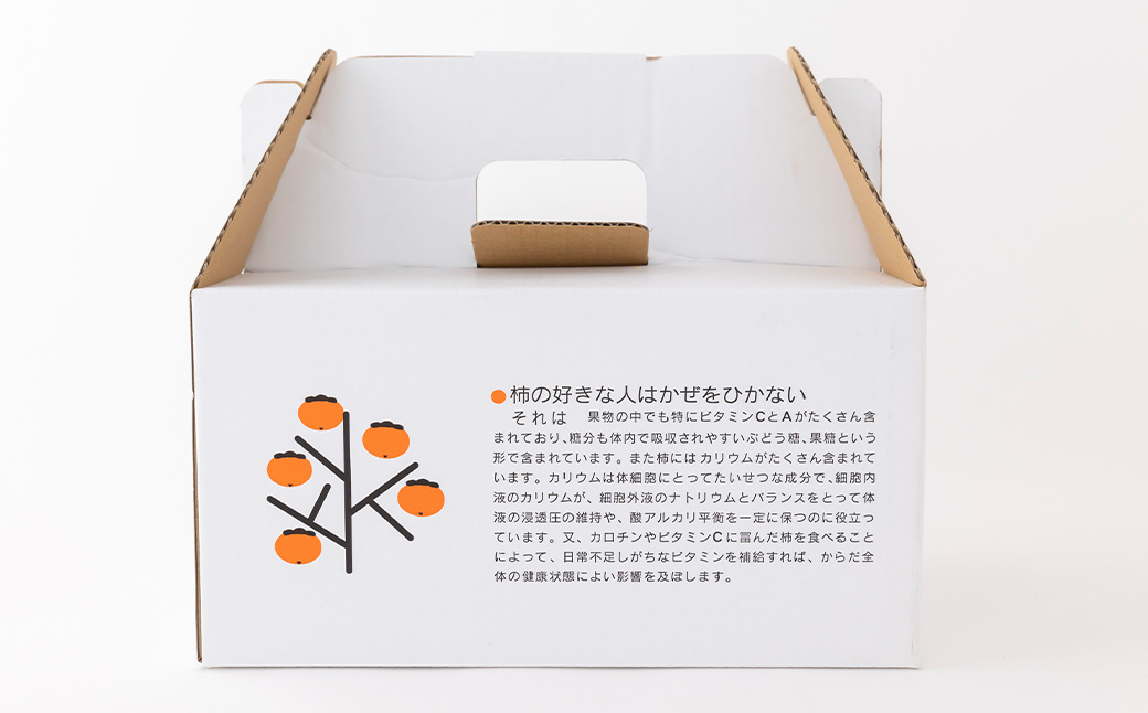 石井農園 乾し柿 70g入り×10個セット ドライフルーツ 柿 かき カキ 乾燥柿 富有柿 スイーツ お菓子 果物 フルーツ 福岡県 うきは市