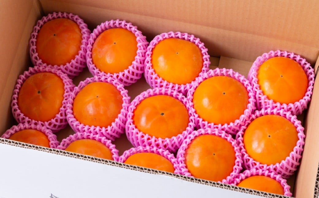 【先行予約】西見柿農園 富有柿 9玉から11玉 (約3kg) 【2026年11月上旬-12月上旬発送予定】 柿 かき カキ 果物 くだもの フルーツ 果実 ジューシー お取り寄せ 福岡県 うきは市