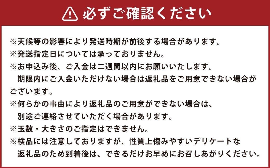 【先行予約】西見柿農園 富有柿 12玉から15玉 (約5kg) 【2026年11月上旬-12月上旬発送予定】 柿 かき カキ 果物 くだもの フルーツ 果実 ジューシー お取り寄せ 福岡県 うきは市