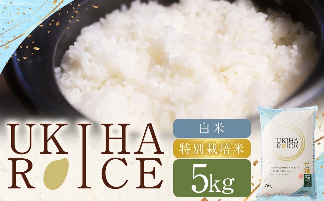 UKIHA RICE 白米 5kg （特別栽培米） 【2025年11月上旬から2026年8月下旬発送予定】 ヒノヒカリ ひのひかり 精米 米 こめ コメ お米 おこめ 白米 精米 ごはん ご飯 お中元 お歳暮 ギフト プレゼント 贈答品 おすすめ 国産