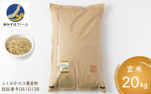 みずほファーム 特別栽培米ヒノヒカリ 玄米20kg