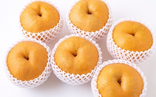 【先行予約】佐藤ファーム 愛宕梨 5玉から8玉(約5kg) 2025年11月上旬 出荷予定