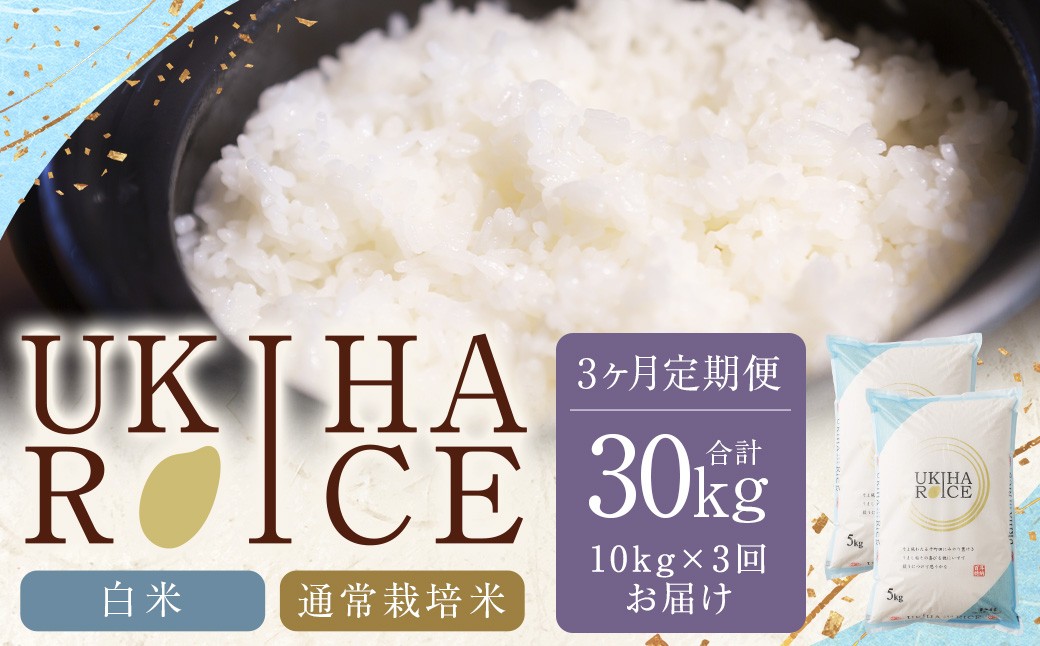 【3ヶ月定期便】 みずほファーム UKIHA RICE 白米 5kg?2袋?3回 （通常栽培米） 計30kg ヒノヒカリ ひのひかり 精米 米 こめ コメ お米 おこめ 白米 精米 ごはん ご飯 お中元 お歳暮 ギフト プレゼント 贈答品 定期便 おすすめ 国産