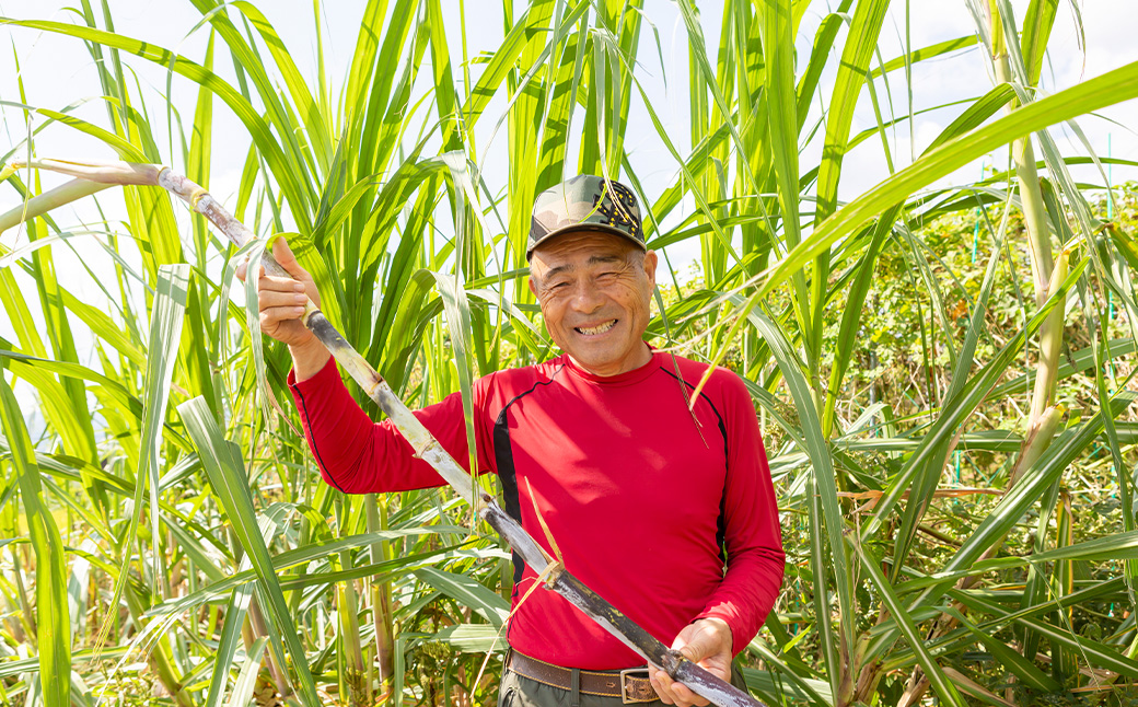 アグリファームさいとう 手作り黒蜜と黒砂糖（粉タイプ） セット さとうきび 黒蜜 黒砂糖 うきは市