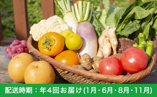 【年4回定期便】うきは特別便（新鮮な農作物・フルーツ野菜など）