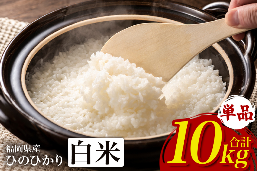【ふるさと納税】ひのひかり 米 お米 白米  10kg  10キロ  福岡県産 うきは市 国産 精米 ご飯 ごはん おにぎり お弁当 人気 おすすめ 家庭用 送料無料 新米 ストック 厳選 農家直送 大容量【JA福岡くるめ にじの耳納の里】