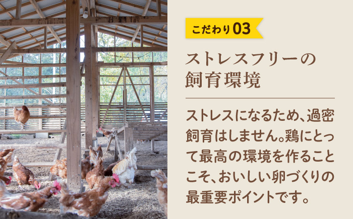 【家族に食べさせたい】平飼い 山もりたまご 20個 安心安全 おいしさに感動 たまご 卵 高級卵 平飼い 安心安全 飼料にこだわり 成長剤 ホルモン剤 添加物不使用