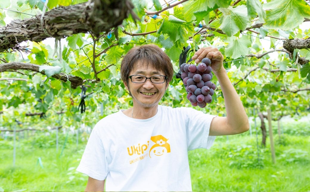 種無し 巨峰 2kg 【2026年８月上旬～8月下旬発送予定】　種なし巨峰 ぶどう ブドウ 葡萄 くだもの 果物 フルーツ 果実 福岡県 うきは市