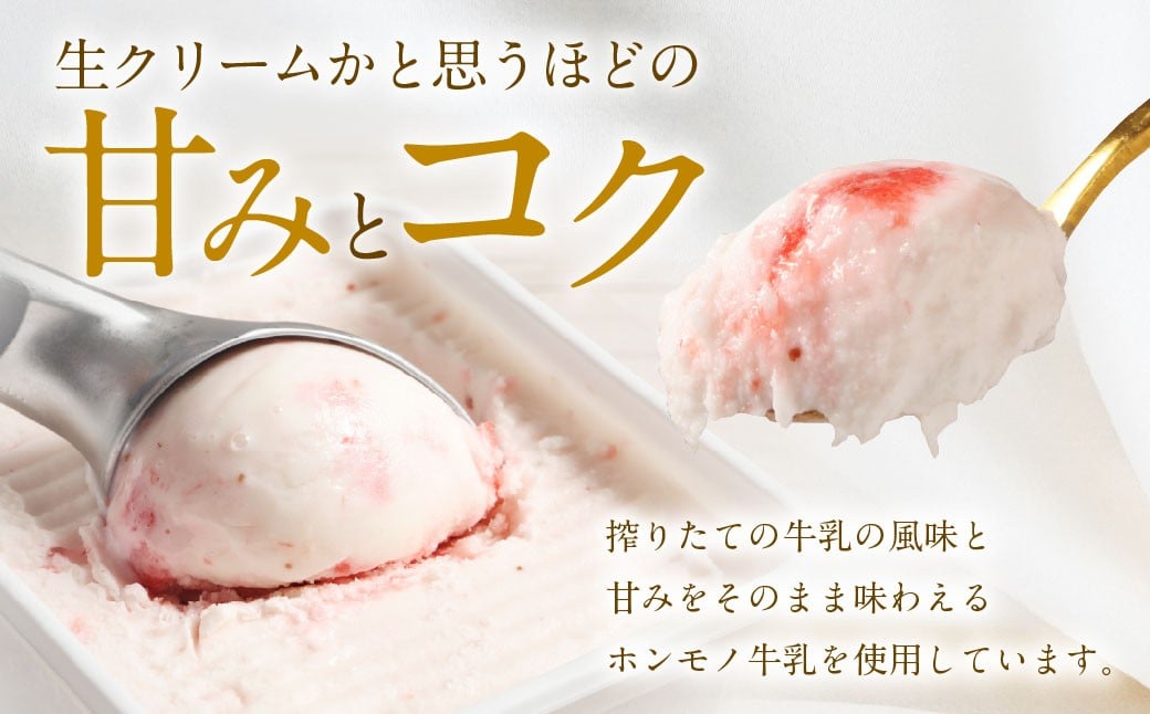 ソルベッチdoうきは ジェラート500ml×2個セット フルーツ ミルク スイーツ デザート ジェラート シャーベット アイス いちごミルク ブルーベリーミルク セット 冷凍 福岡県 うきは市