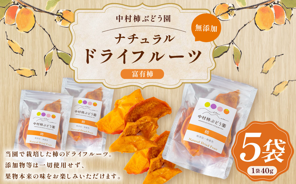 中村柿ぶどう園 ナチュラルドライフルーツ (柿) 約40g×5個