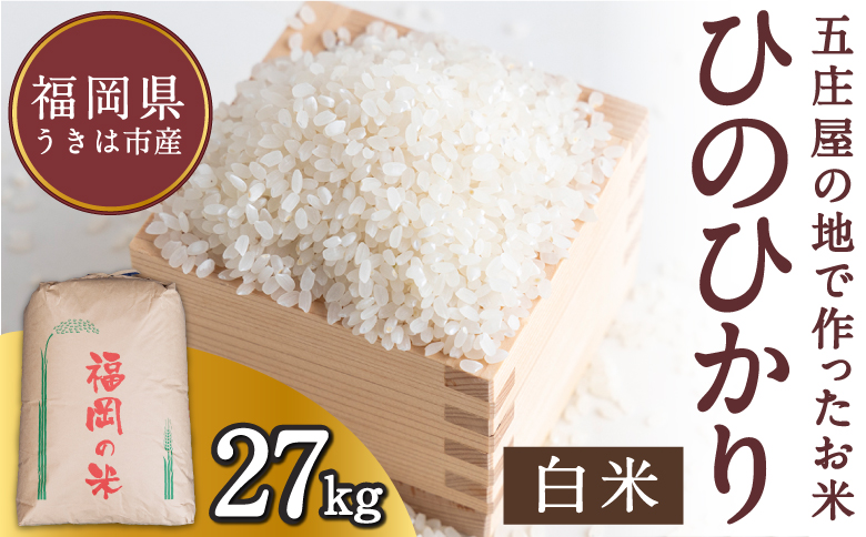 【特Aランク米】五庄屋の地で作ったお米 ひのひかり 白米 (27kg)【Go庄屋合同会社】ヒノヒカリ こめ コメ ごはん ご飯 福岡県うきは市産 九州産