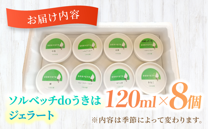 ãææš¹åãäœããçŽ æã®å³ã楜ããã æ¬ã®ãžã§ã©ãŒã 120mlÃ8åã»ããããœã«ãããdoããã¯ãçè²æäžäœ¿çš ãã³ãã¢çä¹³äœ¿çš ãžã§ã©ãŒã ã¢ã€ã¹ æ¬ ã¹ã€ãŒã è©°ãåãã ã»ãã ã·ã£ãŒããã ãã«ã¯ ãã«ãŒã ãã¶ãŒã