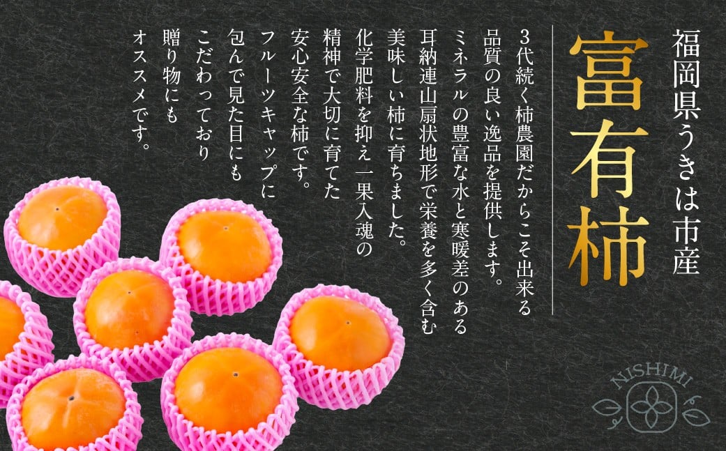 【先行予約】西見柿農園 富有柿 12玉から15玉 (約5kg) 【2026年11月上旬-12月上旬発送予定】 柿 かき カキ 果物 くだもの フルーツ 果実 ジューシー お取り寄せ 福岡県 うきは市