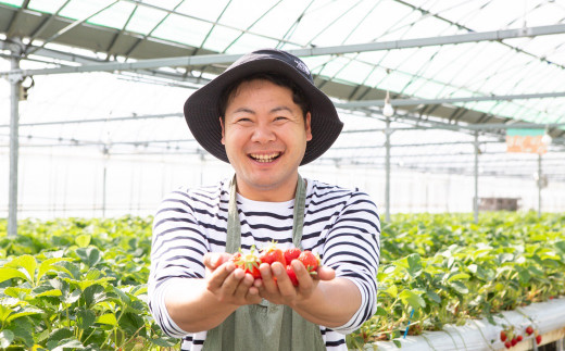 よかもんいちご ４品種食べ比べセット 2025年4月1日から4月下旬 出荷予定